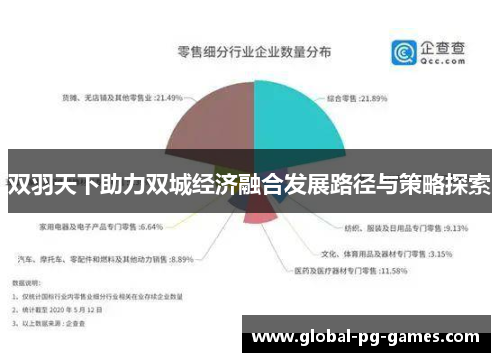 双羽天下助力双城经济融合发展路径与策略探索