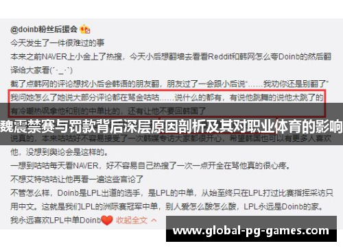 魏震禁赛与罚款背后深层原因剖析及其对职业体育的影响