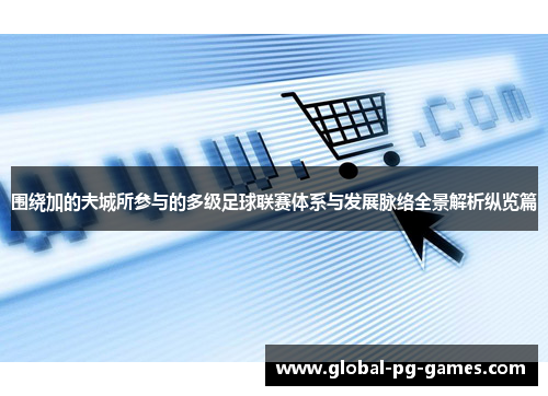 围绕加的夫城所参与的多级足球联赛体系与发展脉络全景解析纵览篇